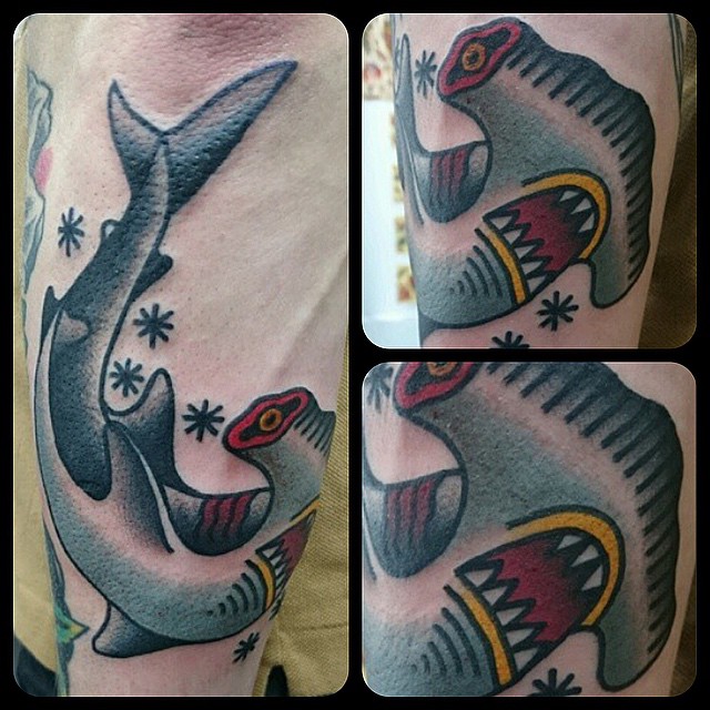Nice Hammerhead Shark Traditional Tattoo