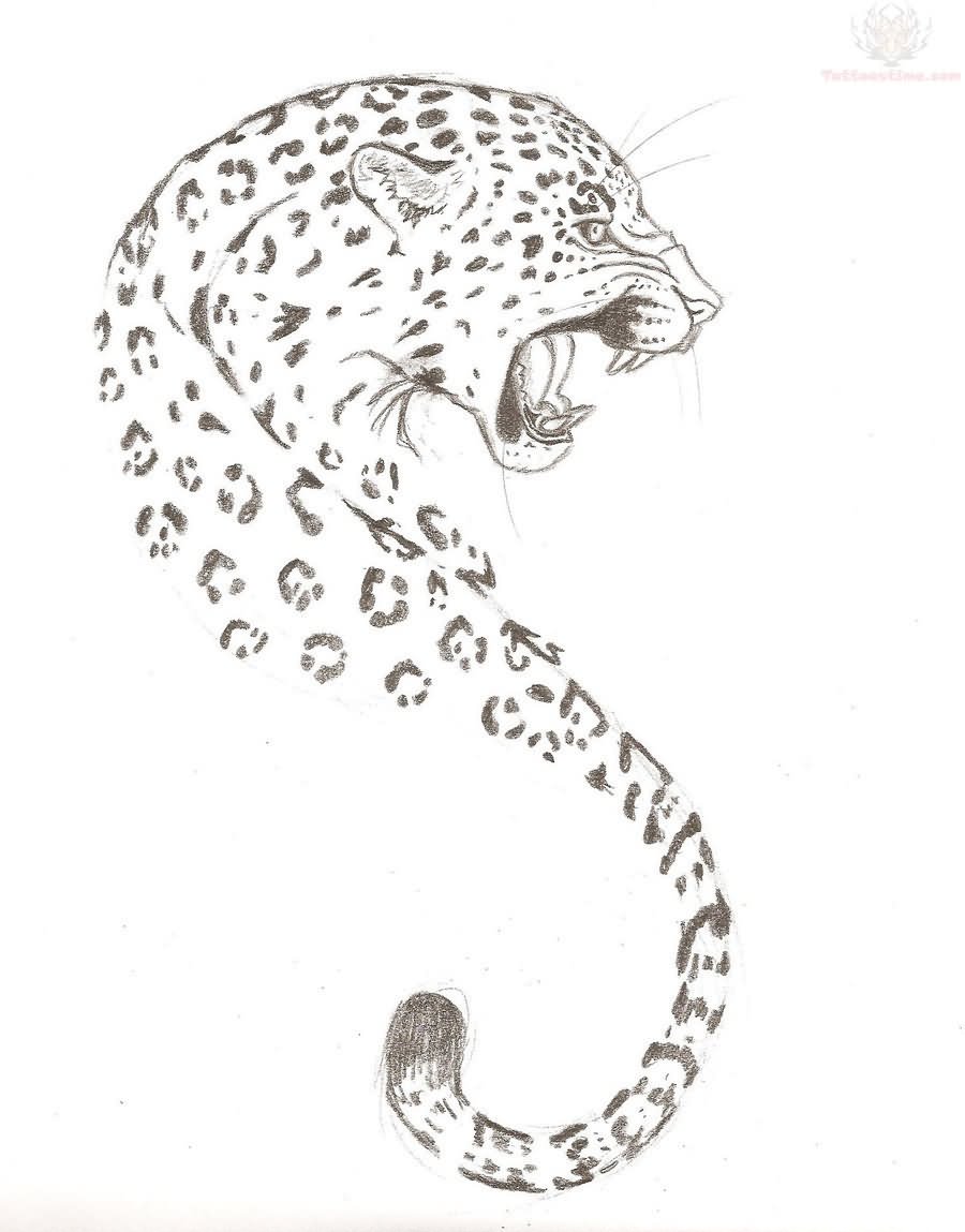 Nice Jaguar Roaring Tattoo Sketch