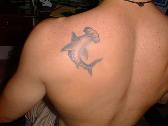 Nice Small Hammerhead Shark Tattoo On Left Back Shoulder