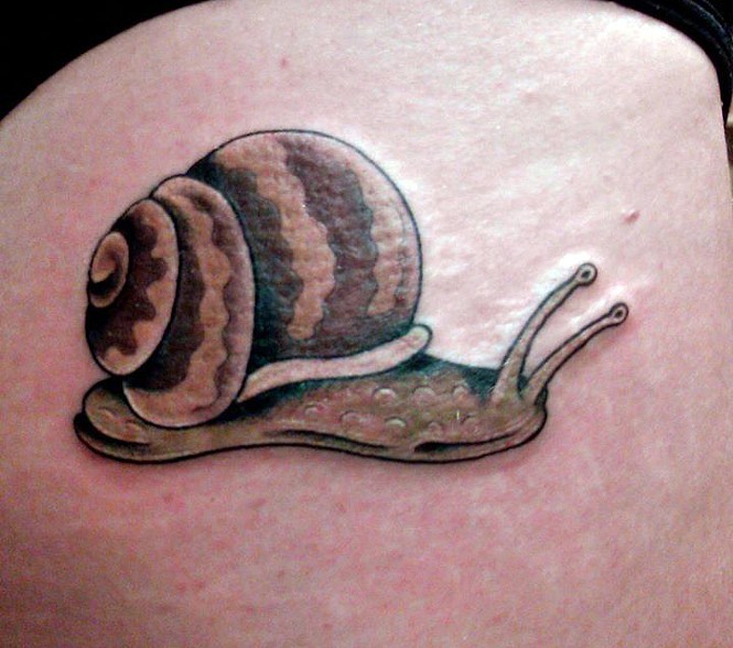 Nice Snail Tattoo