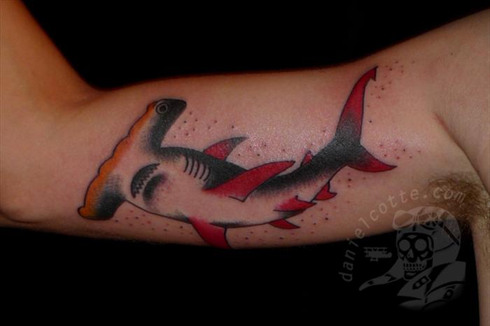 Nice Traditional Hammerhead Shark Tattoo On Bicep