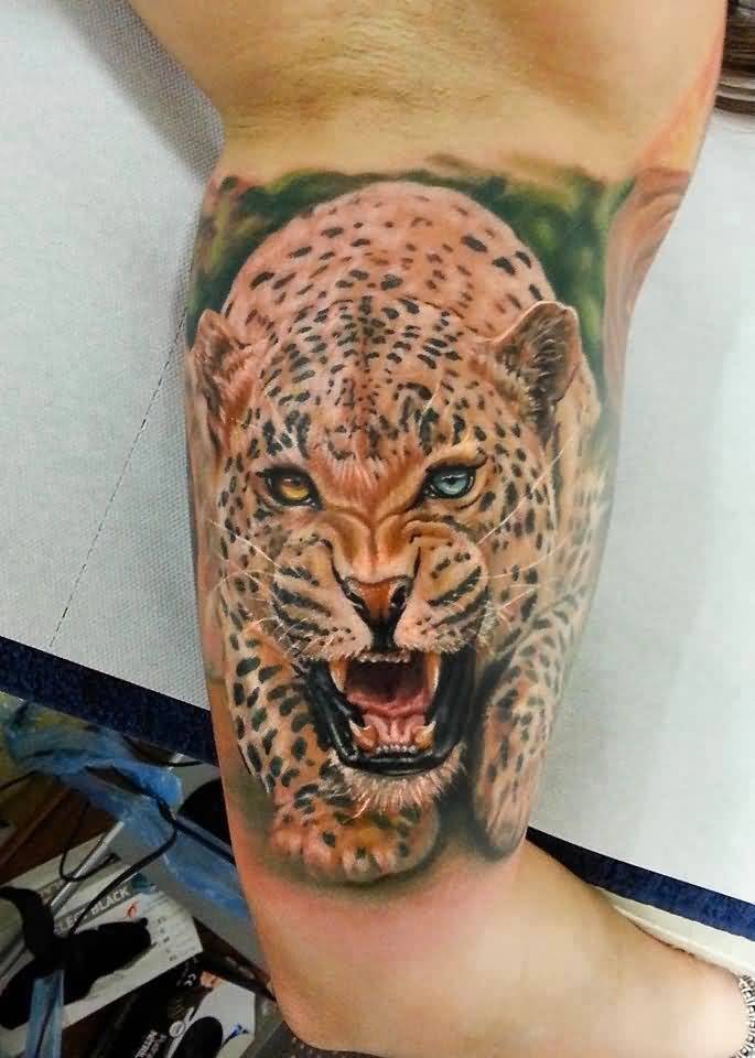 Realistic Angry Jaguar With Different Colors Eyes Tattoo On Bicep