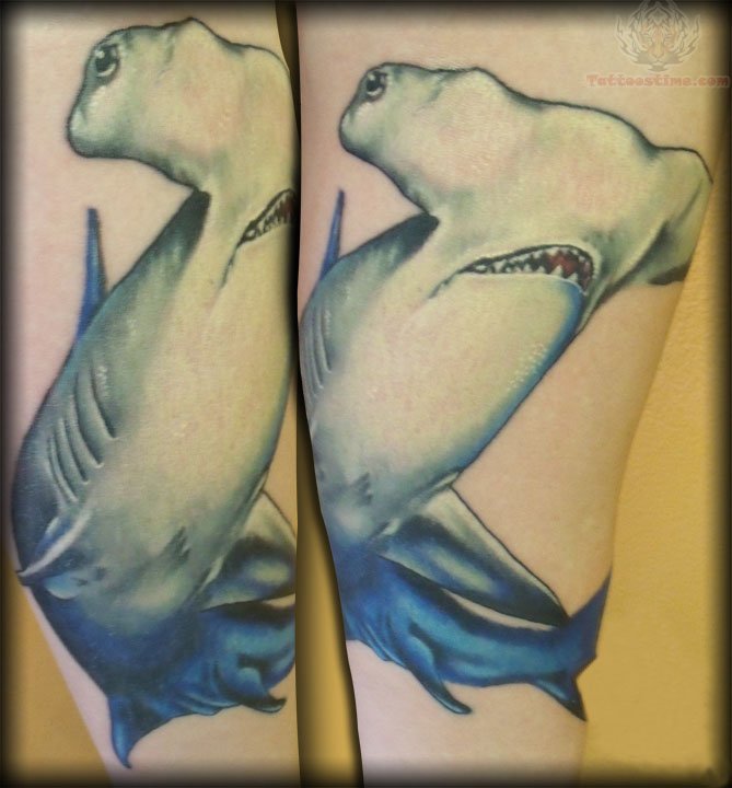 Realistic Hammerhead Shark Tattoo