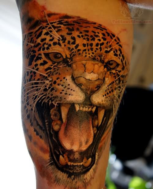 Realistic Jaguar Angry Face Tattoo On Bicep