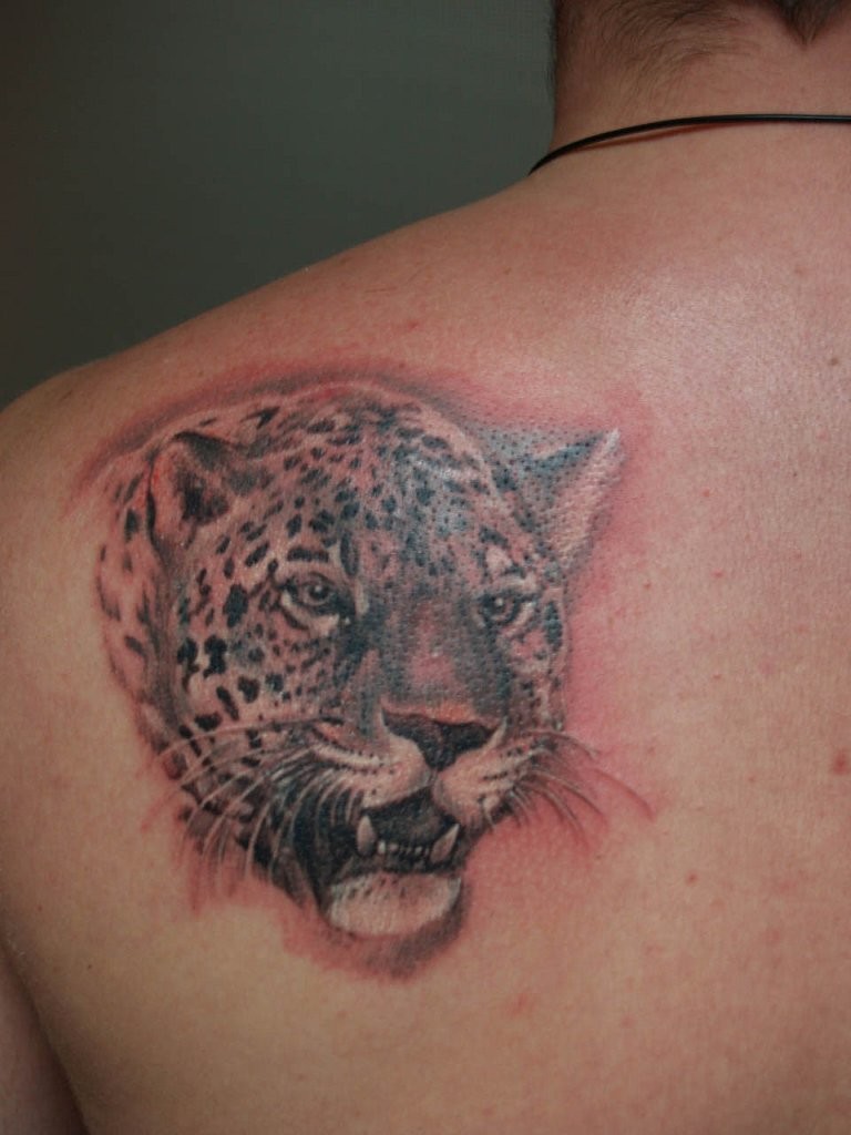 Realistic Jaguar Head Tattoo On Left Back Shoulder