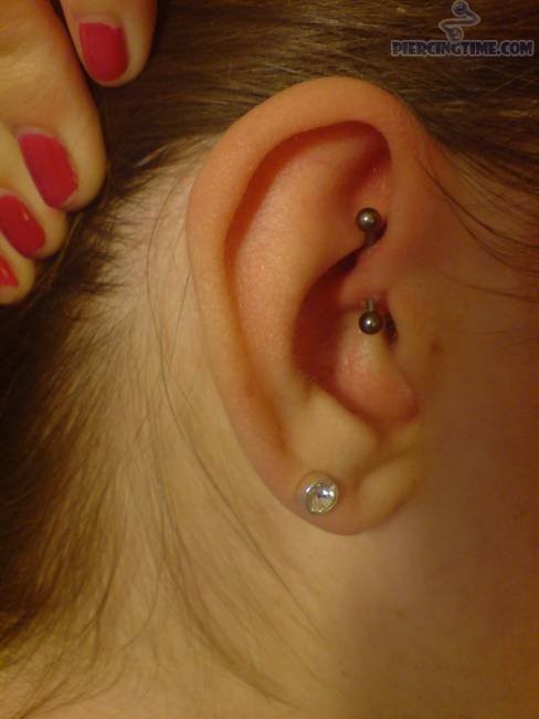 Silver Barbell Daith Piercing Picture