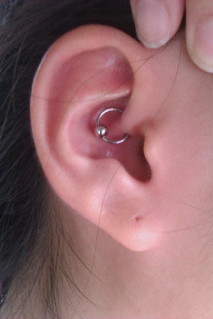 Silver Bead Ring Daith Piercing Picture