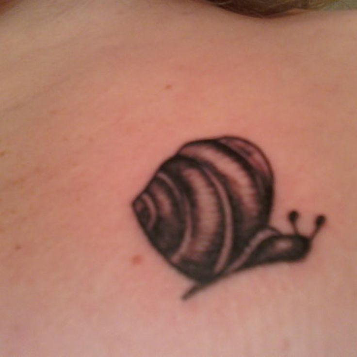 Small Grey Ink Snail Tattoo