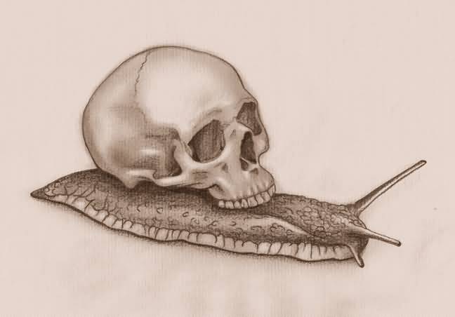 Snail And Skull Grey Ink Tattoo Design