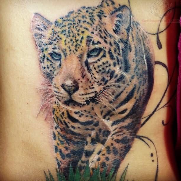 Superb Color Ink Jaguar Tattoo