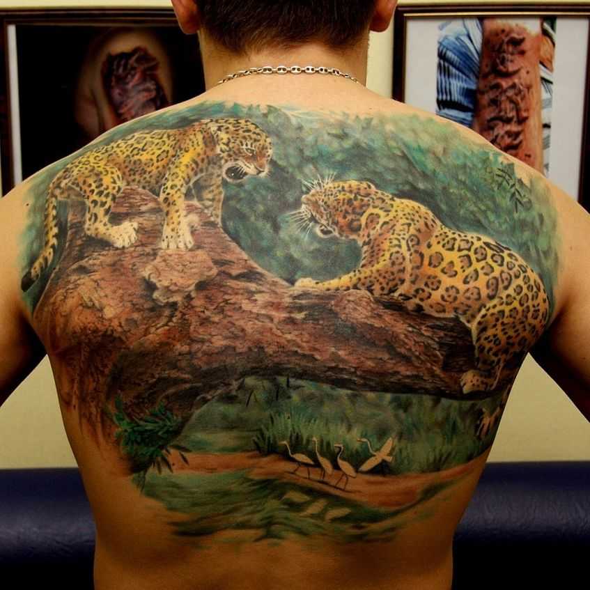 Superb Colored Jaguars On Tree Branch Tattoo On Full Back
