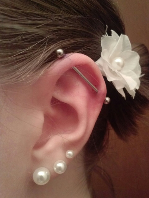 Triple Ear Lobes And Industrial Piercing Picture