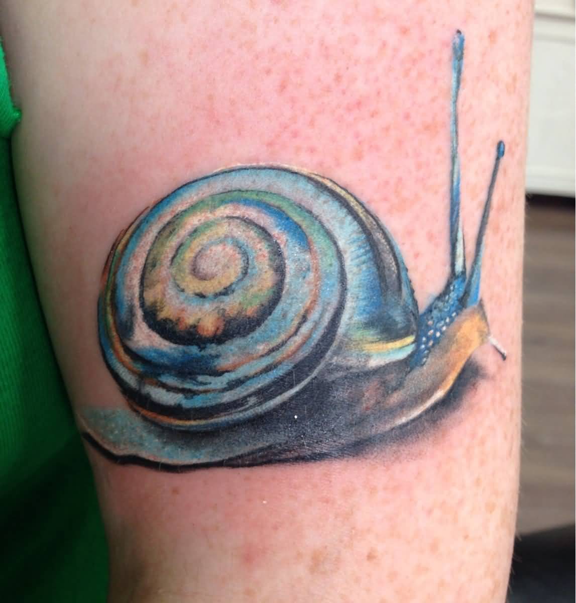 Wonderful Blue 3D Snail Crawling Tattoo