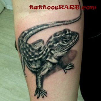 3D Reptile Lizard Tattoo On Arm Sleeve