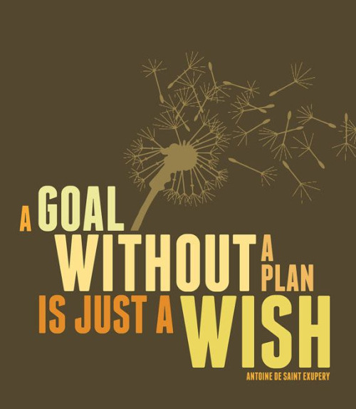 A goal without a plan is just a wish -  Antoine de Saint-Exupery
