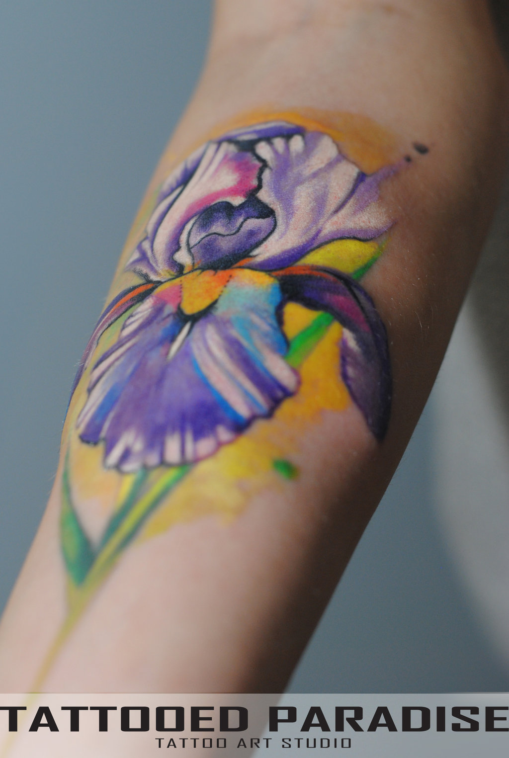 Beautiful Purple Iris Flower Watercolor Tattoo By Dopeindulgence