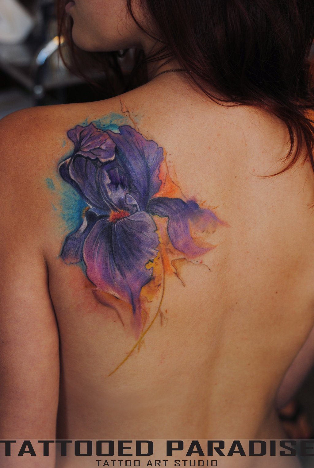 Beautiful Purple Iris Flower Watercolor Tattoo On Left Back Shoulder