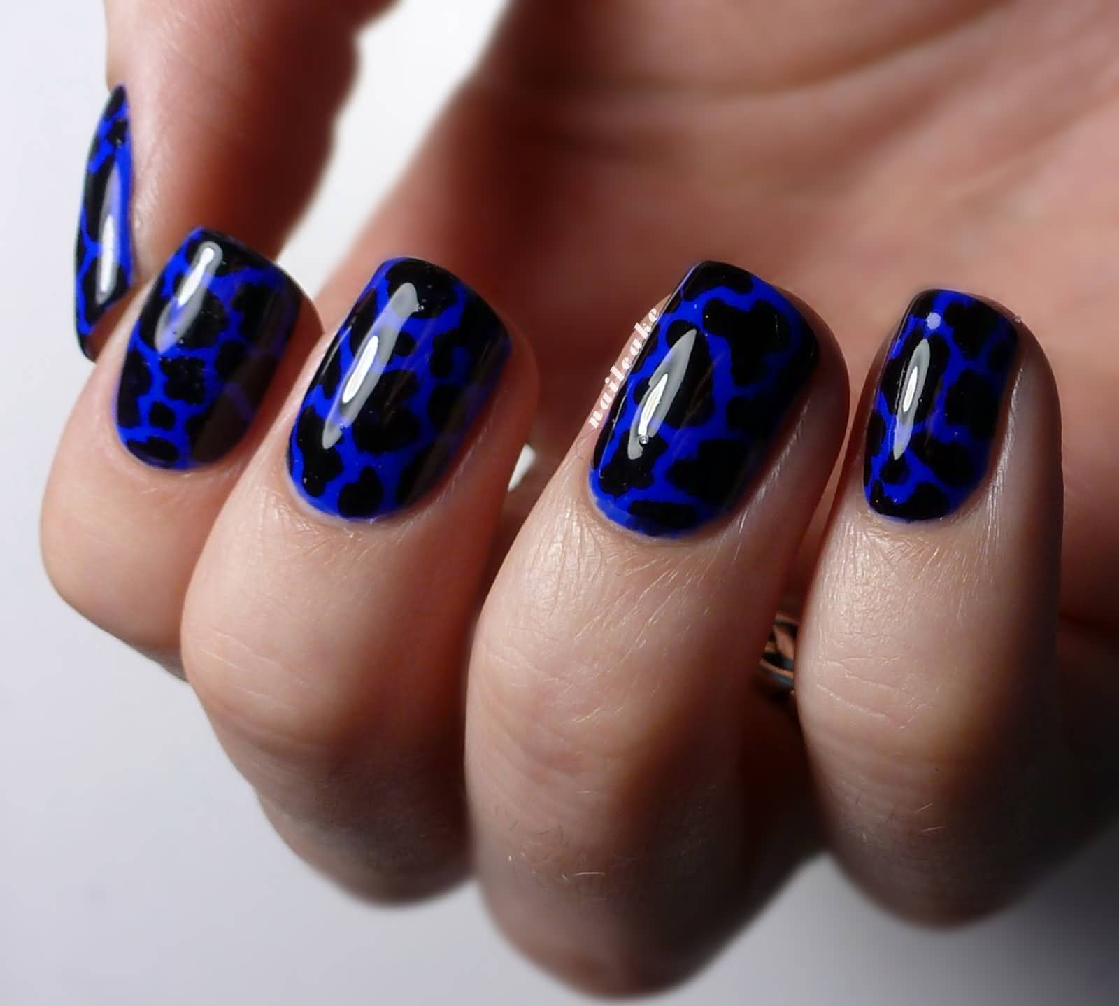 Blue And Black Leopard Print Glossy Nail Art