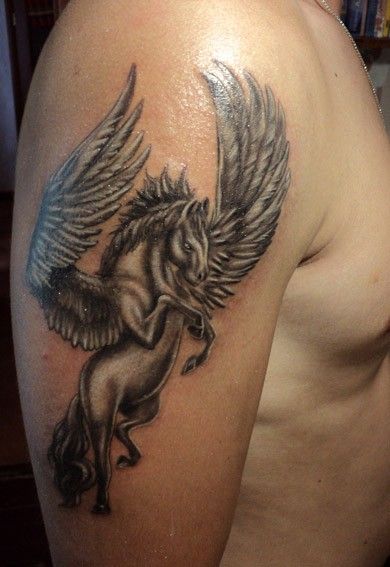 Brilliant Black Flying Pegasus Tattoo On Right Shoulder