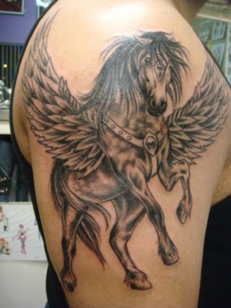 Brilliant Grey Pegasus Tattoo On Right Shoulder