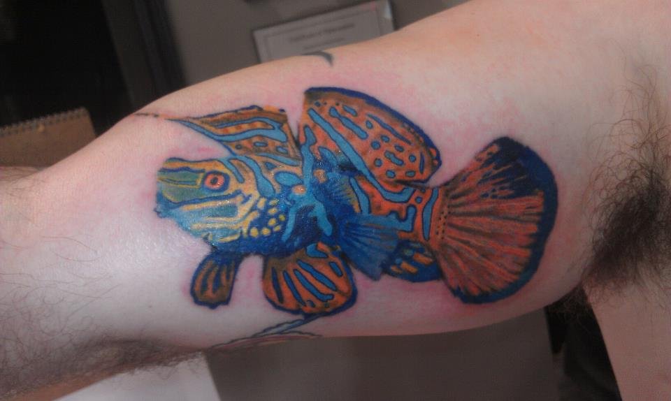Colorful Saltwater Fish Tattoo On Biceps