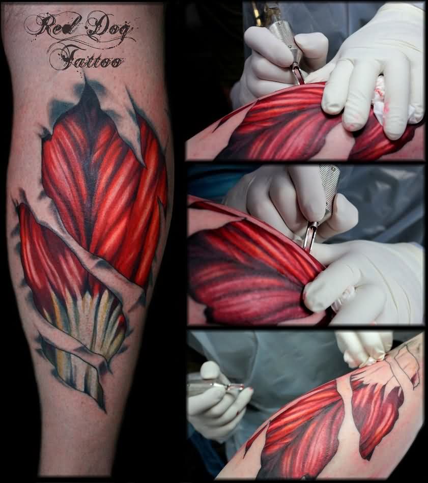 Cool 3D Muscles Tattoo On Forearm