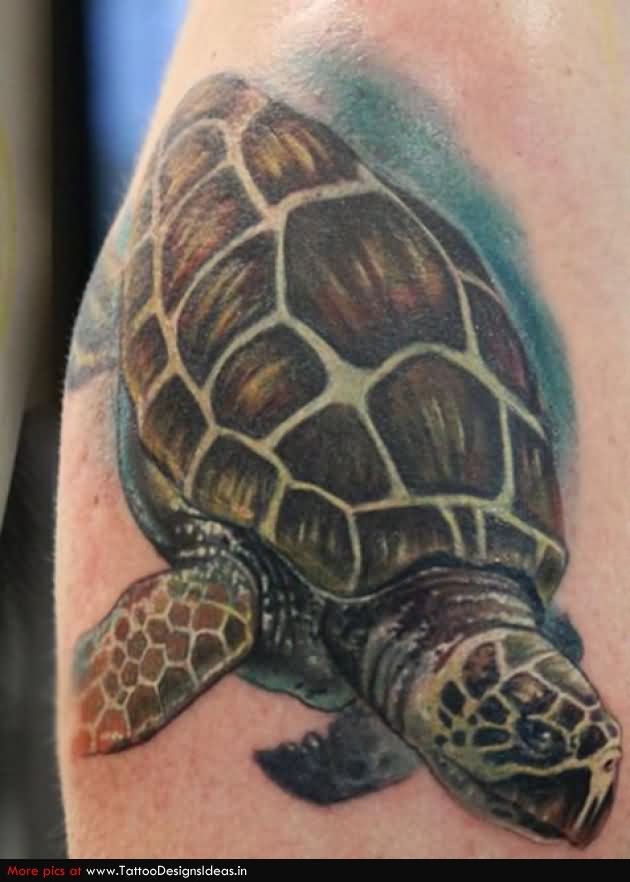 Fantastic Realistic Sea Turtle Tattoo
