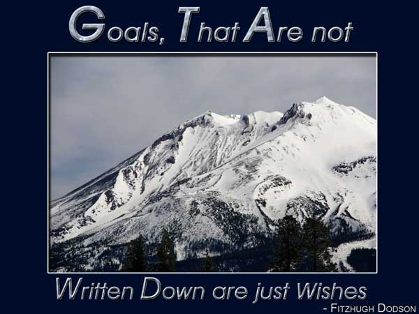 Goals that are not written down are just wishes - Fitzhugh Dodson