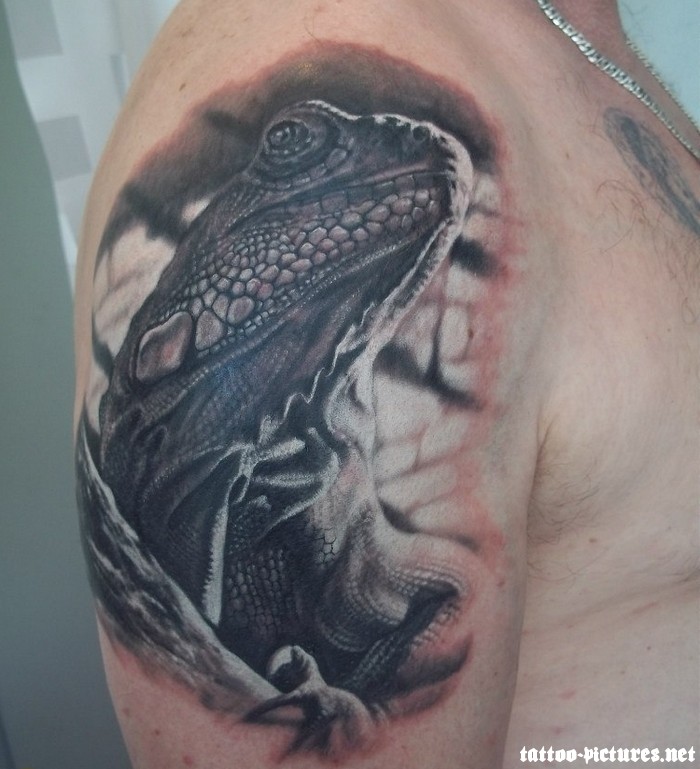 Grey Ink 3D Reptile Salamander Tattoo On Right Half Sleeve
