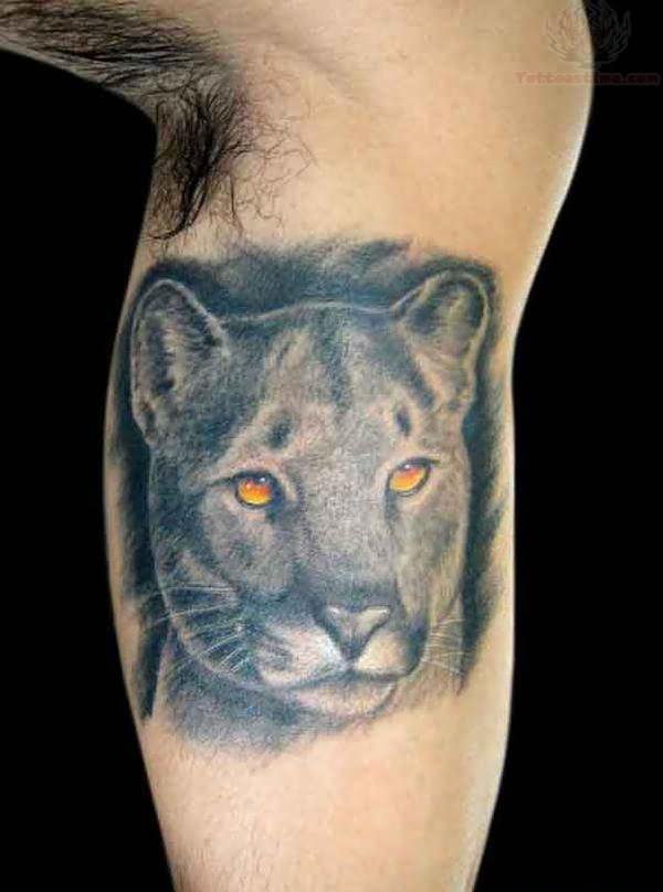 15+ Nice Puma Tattoos