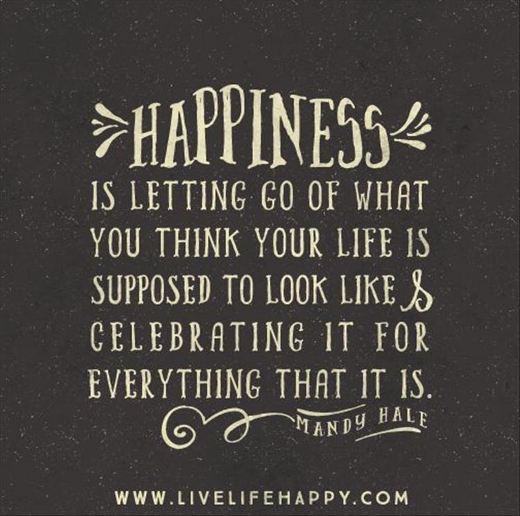 Happiness is letting go of what you think your life is supposed to look like & celebrating it for everything that it is - Mandy Hale