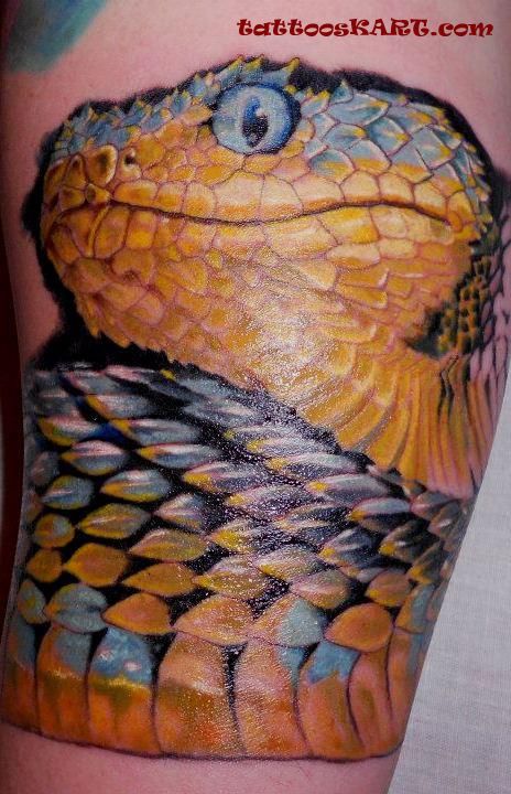 Horrible Reptile Snake Tattoo