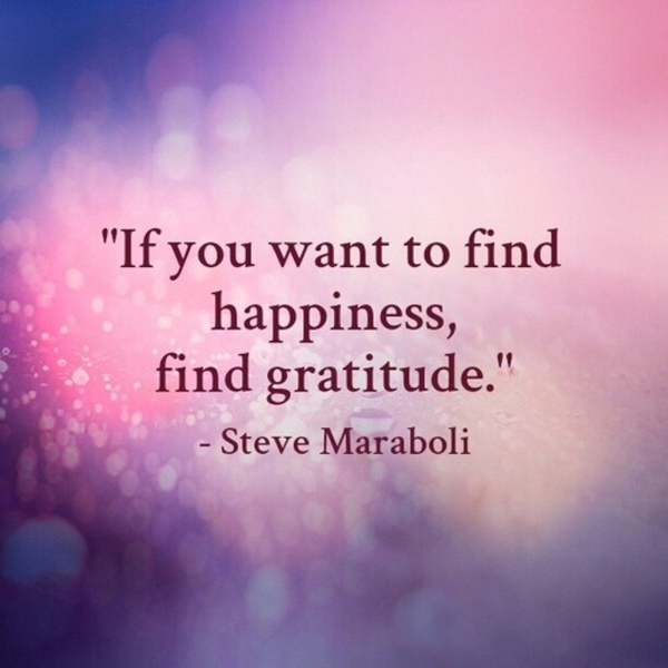 If you want to find happiness, find gratitude - Steve Maraboli