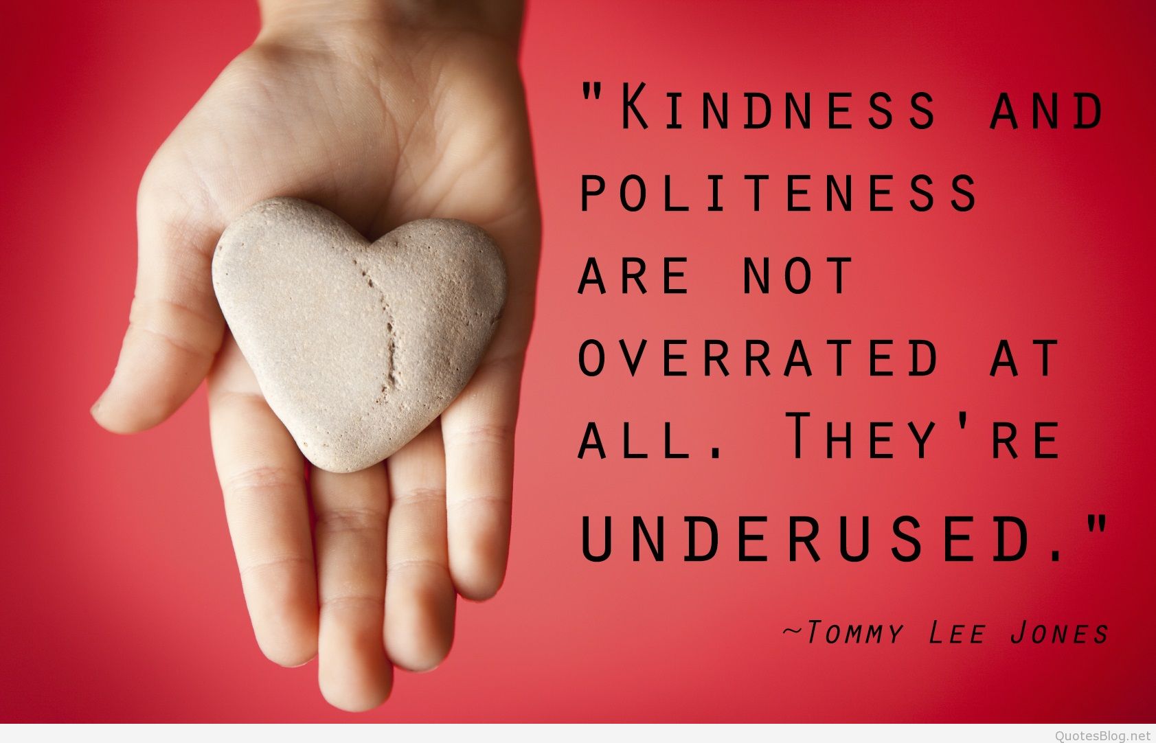 Kindness and politeness are not overrated at all. They're underused - Tommy Lee Jones