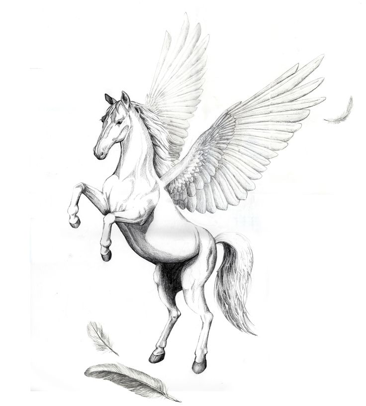 Lovely Black And White Pegasus With Feathers Tattoo Design