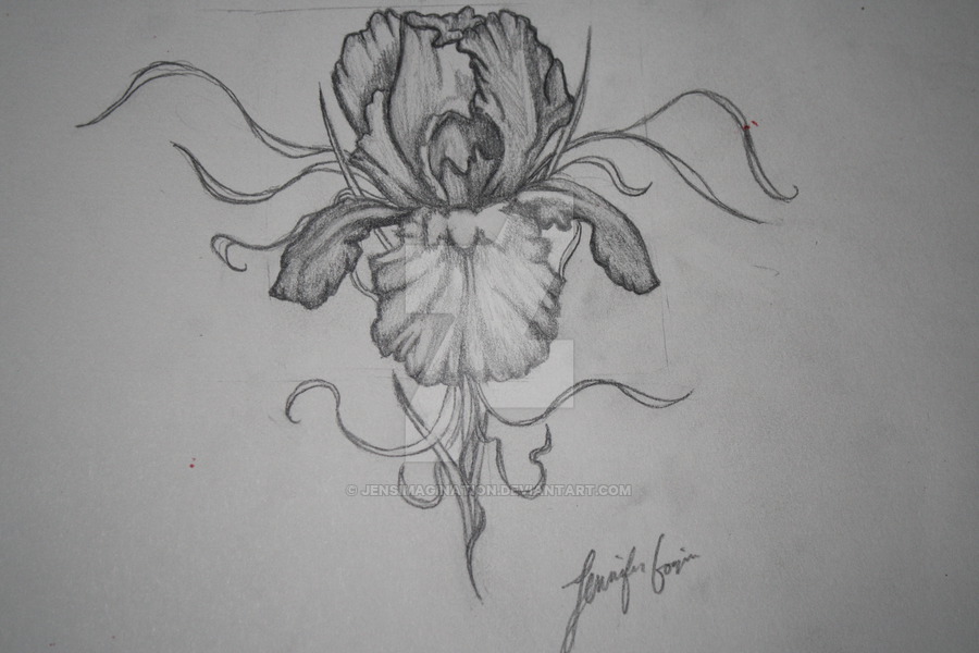 Lovely Iris Flower Black And White Tattoo Stencil