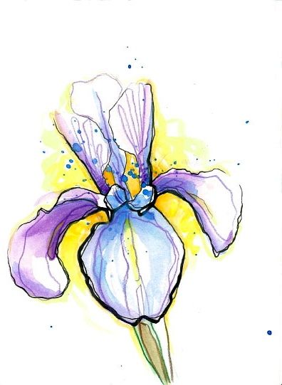 Lovely Iris Watercolor Tattoo Stencil