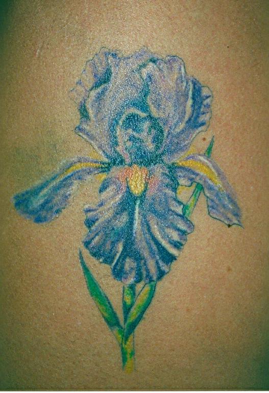 Lovely Light Blue Iris Tattoo