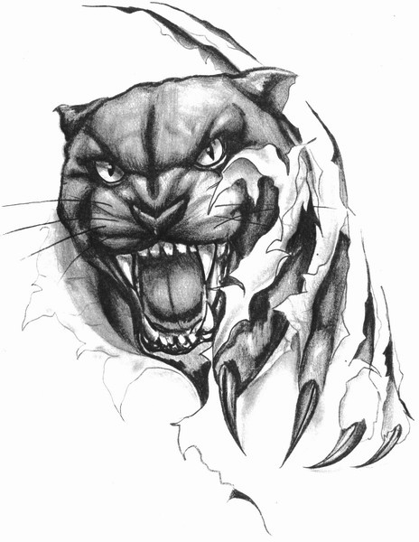 Nice Angry Puma Ripped Skin Tattoo Stencil