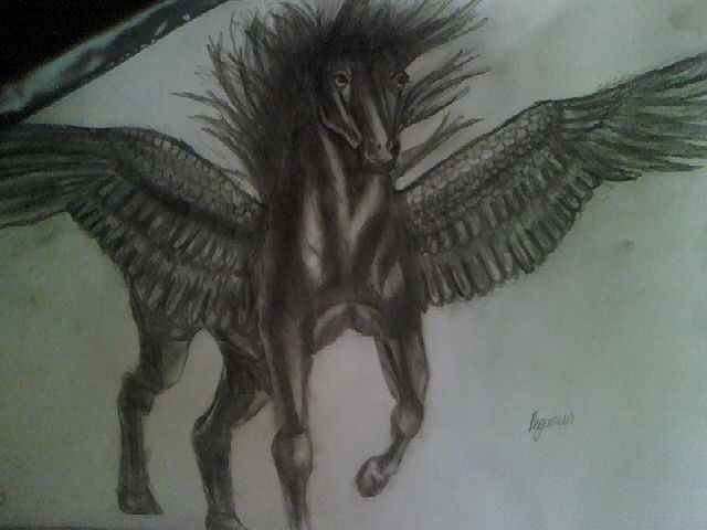 Nice Black Pegasus Tattoo Design