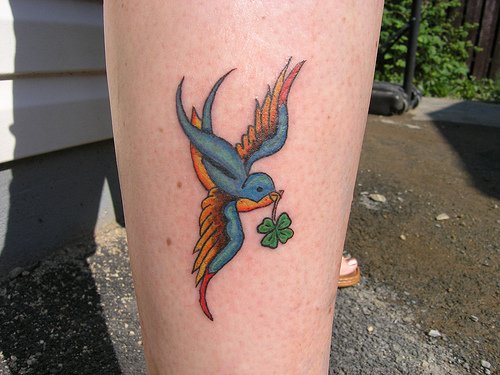 Nice Colored Flying Bird Holding Four Leaf Shamrock With Mouth Tattoo