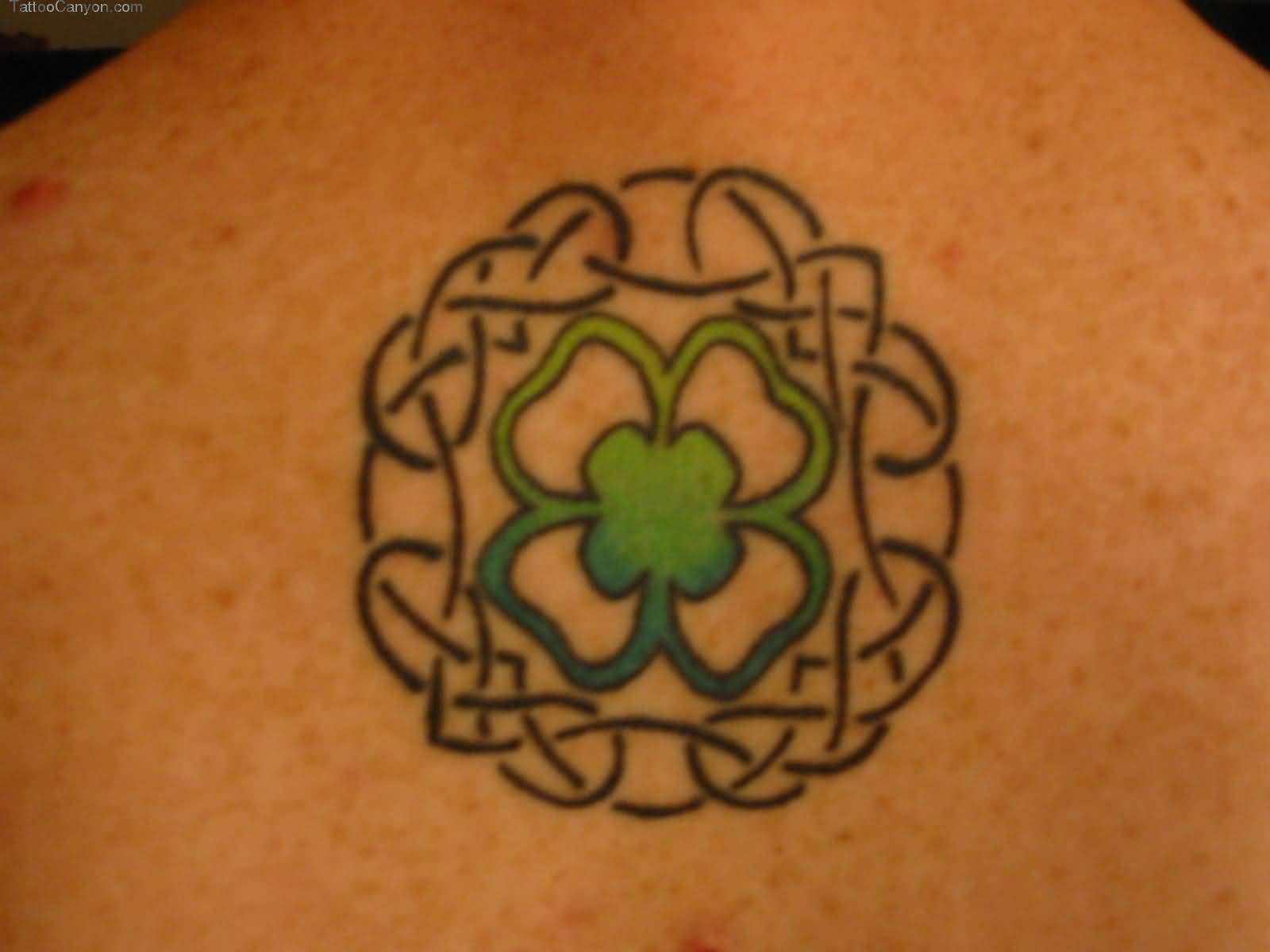 Nice Four Leaf Shamrock In Celtic Circle Tattoo On Upper Back