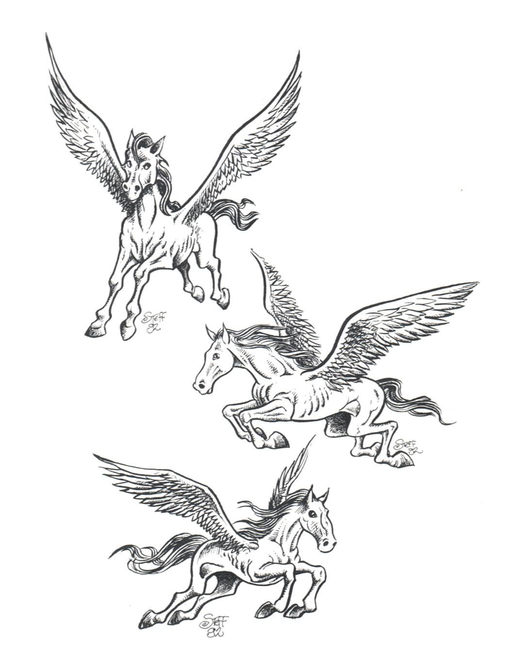Nice Pegasus Tattoo Design Samples Set