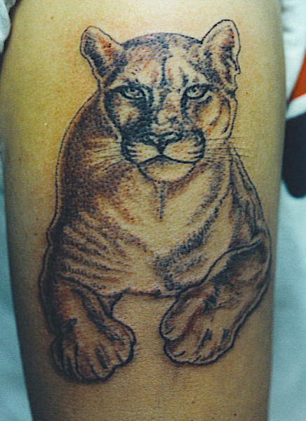 Nice Puma Sitting Tattoo
