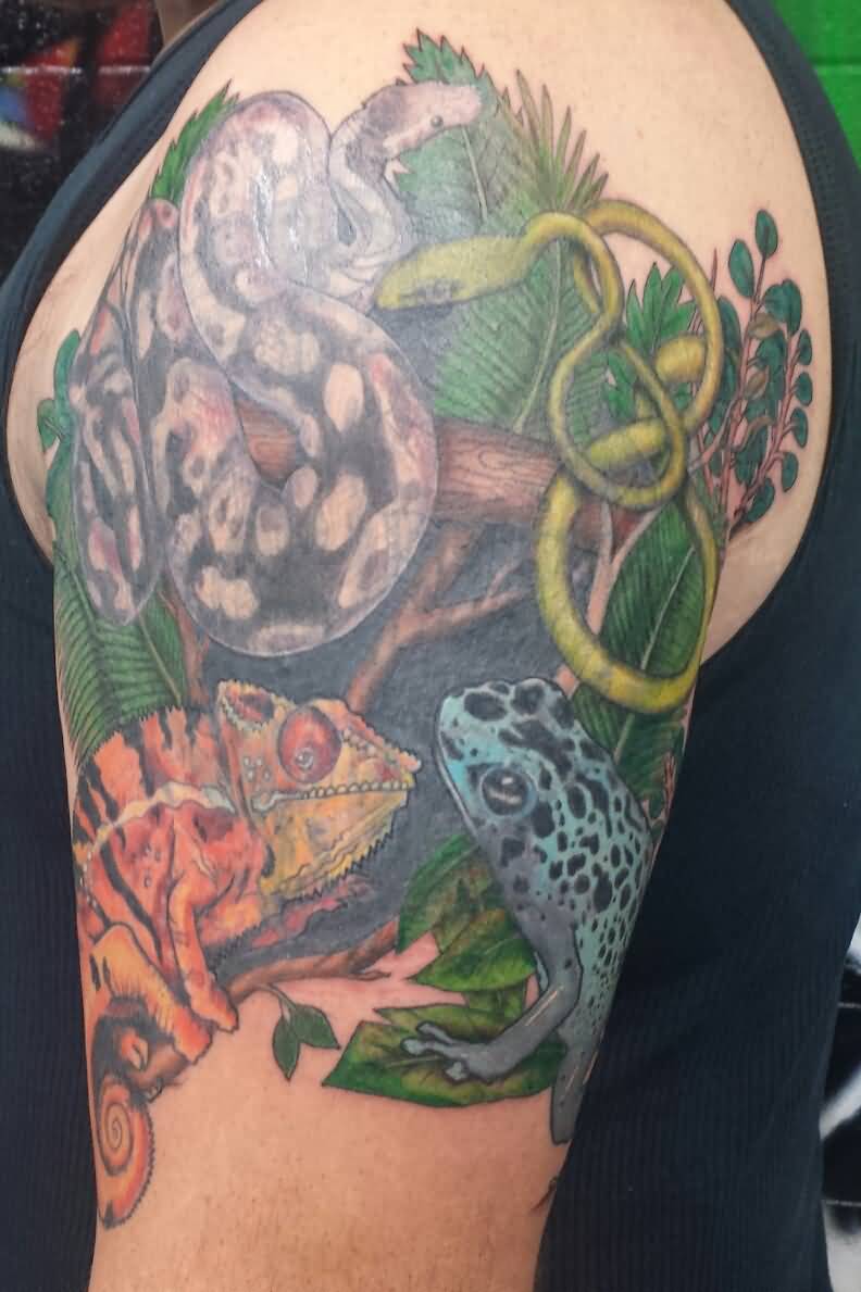 Nice Reptile Snake With Frog And Lizard Color Tattoo On Left Shoulder By Lisa