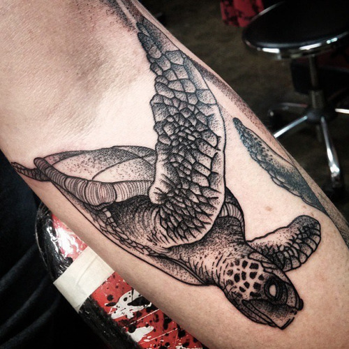 Nice Sea Creature Turtle Tattoo On Forearm By Sean