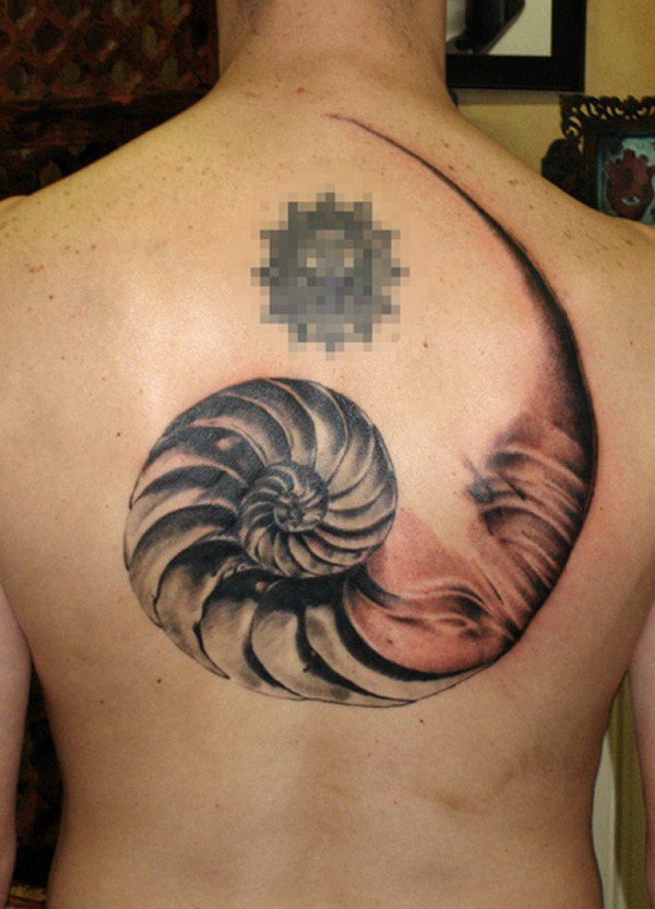 Nice Seashell Sea Creature Upper Back Tattoo For Men