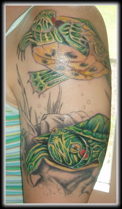 Nice Two Reptile Turtles Tattoo On Left Half Sleeve