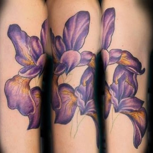 Old School Purple Color Iris Flower Tattoo