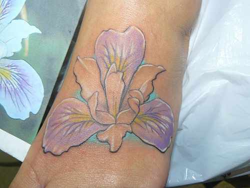 Pretty Purple Color Iris Flower Tattoo